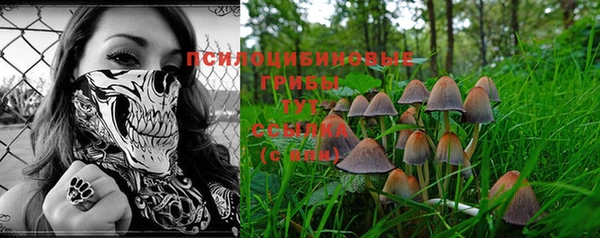 альфа пвп Бородино