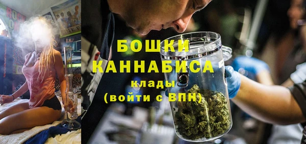 стафф Бронницы