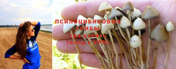 бутират Покровск