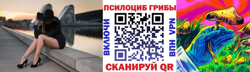где найти   Гусь-Хрустальный  Псилоцибиновые грибы мухоморы 