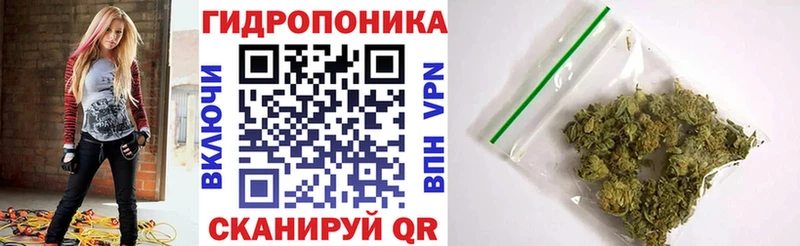 мориарти какой сайт Гусь-Хрустальный Шишки марихуана ГИДРОПОН